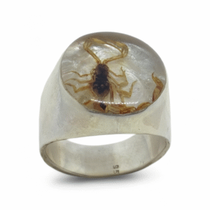 Anel Escorpião